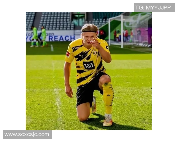 球场上的动物外号：那些因绰号而更加传奇的足球巨星们